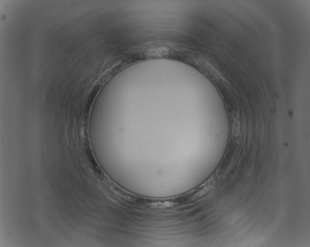 X0000074340363200608251051