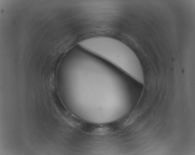 X0000074340364200608251051