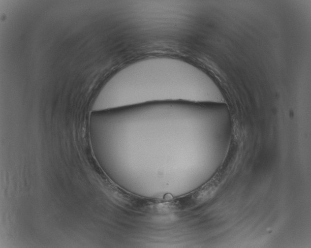 X0000074340365200608251051