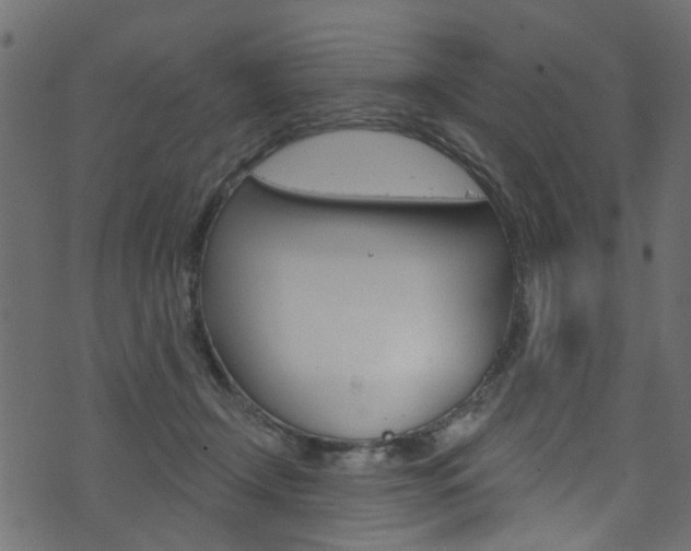 X0000074340366200608251051