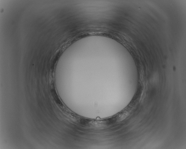 X0000074340367200608251051