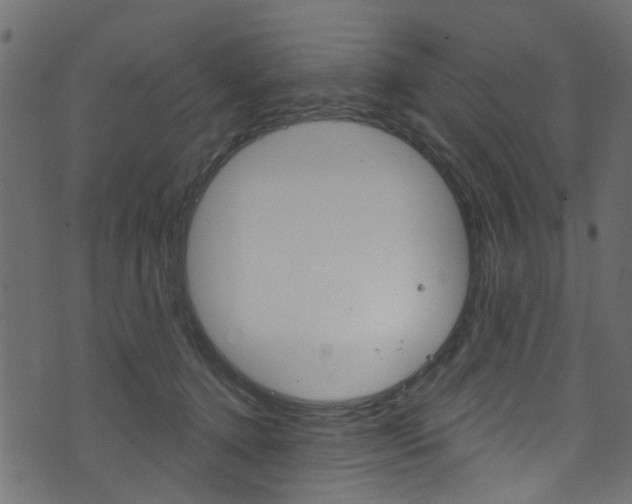 X0000074340368200608251051