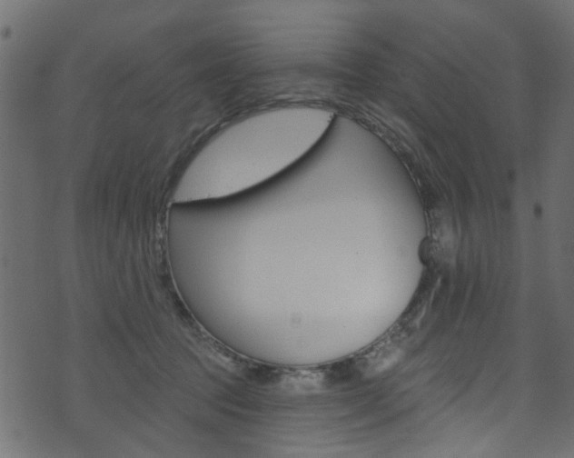 X0000074340369200608251051