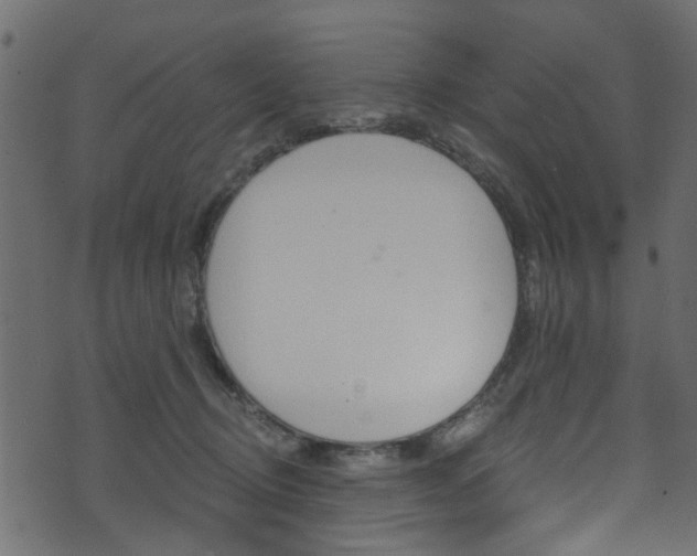 X0000074340370200608251051