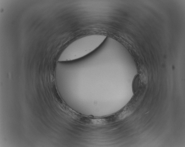 X0000074340371200608251051