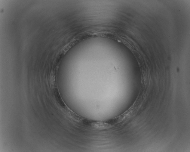 X0000074340372200608251051