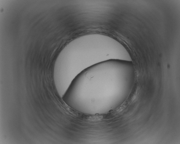 X0000074340373200608251051