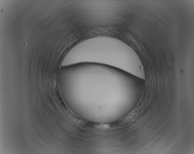 X0000074340374200608251051