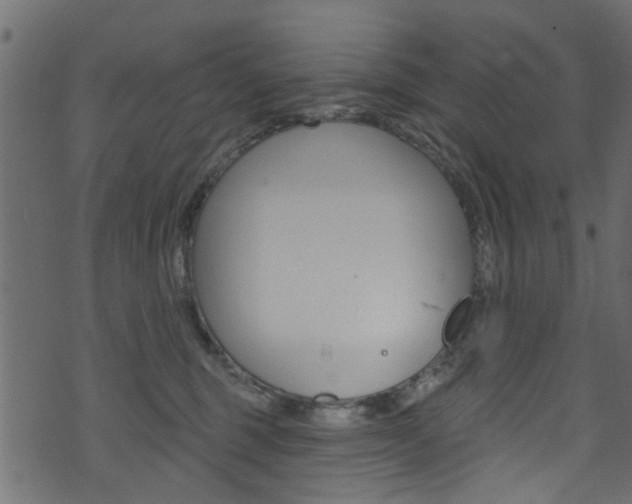 X0000074340375200608251051