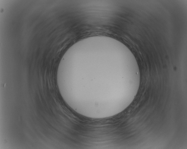 X0000074340376200608251051