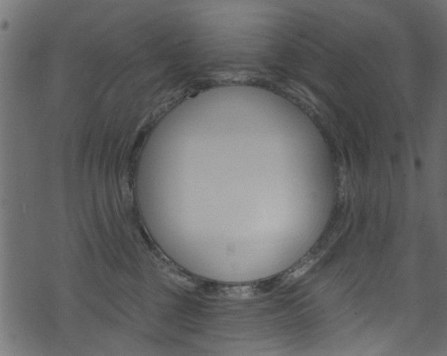 X0000074340377200608251051