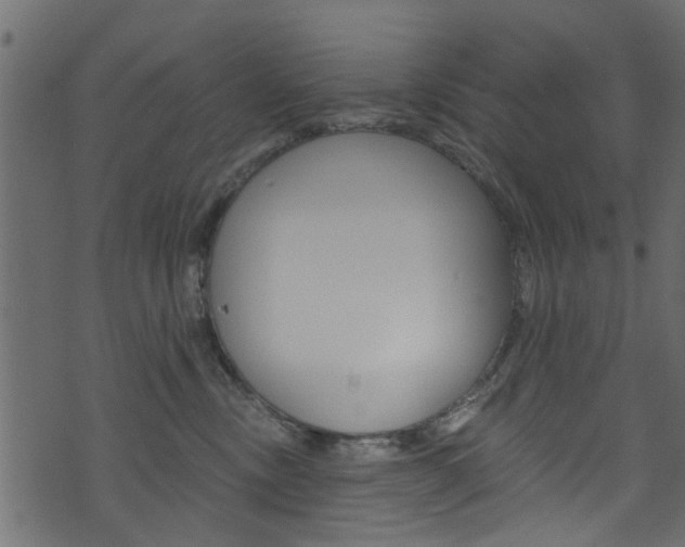 X0000074340378200608251051