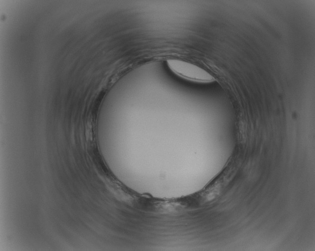 X0000074340379200608251051