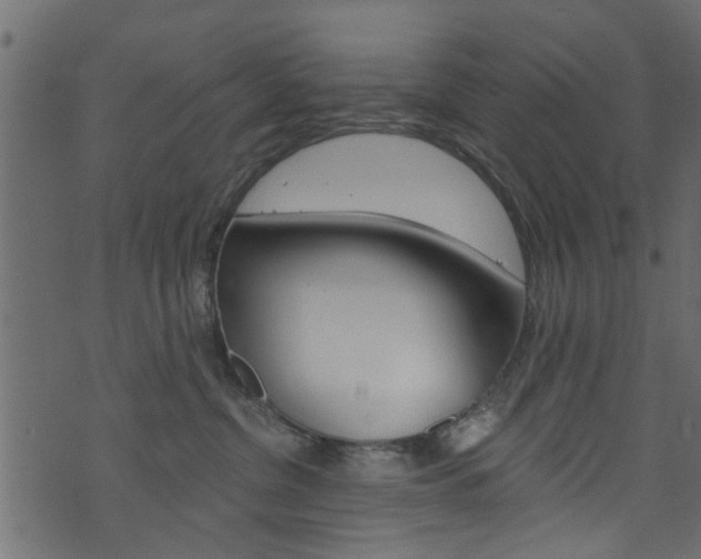 X0000074340380200608251051