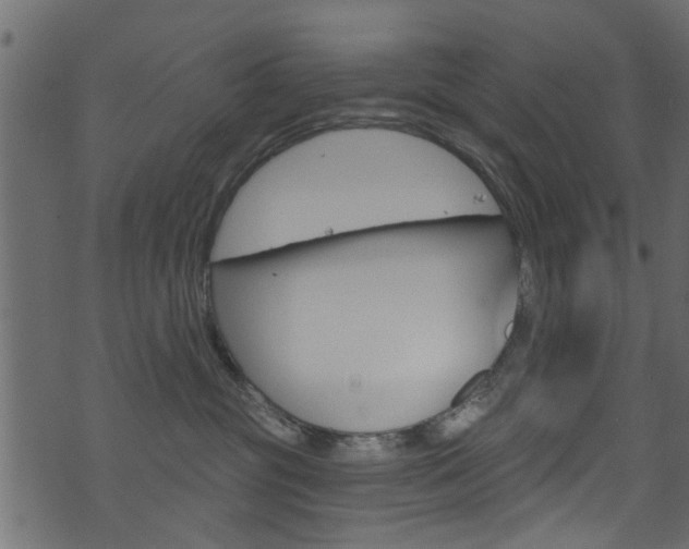 X0000074340381200608251051