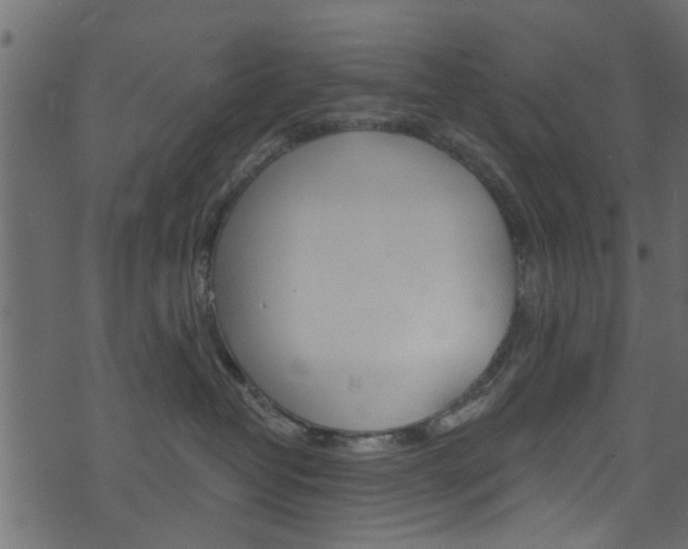 X0000074340382200608251051