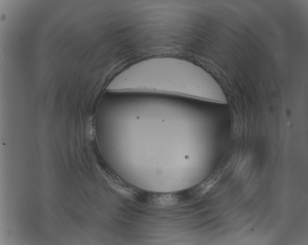 X0000074340383200608251051