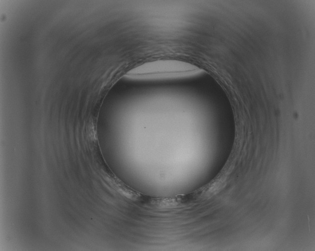 X0000074340384200608251051