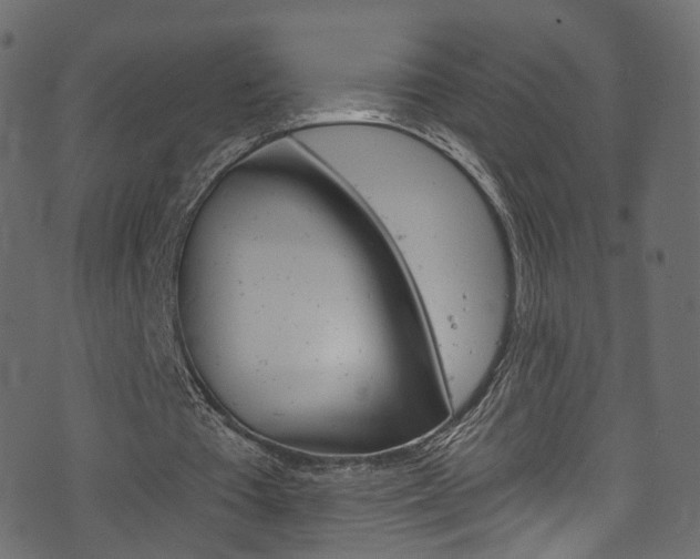 X0000074340385200608251051