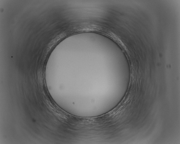 X0000074340386200608251051