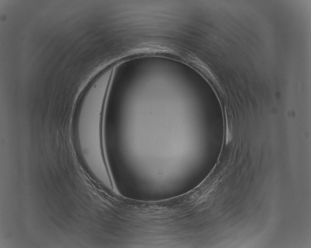 X0000074340387200608251051