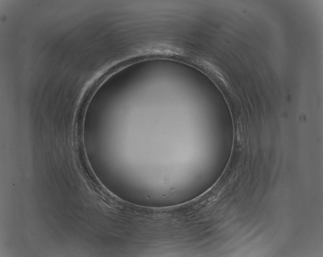 X0000074340388200608251051