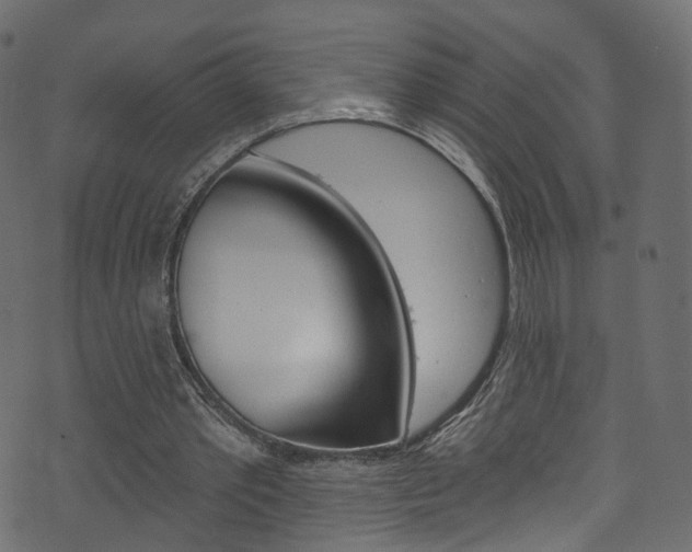 X0000074340389200608251051