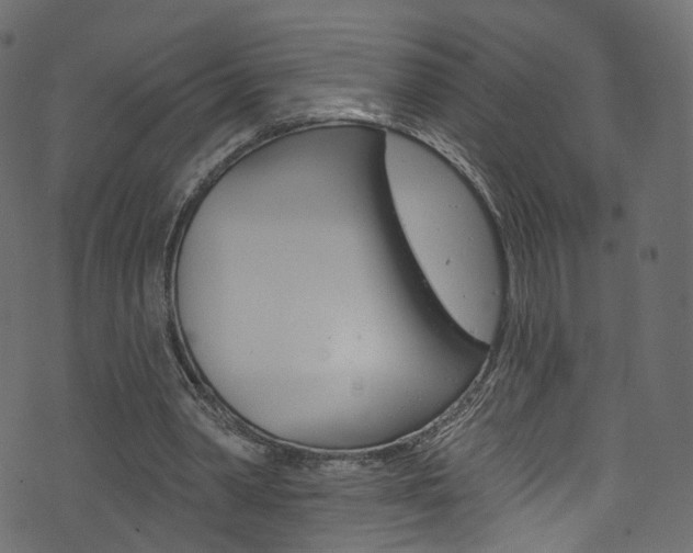 X0000074340390200608251051