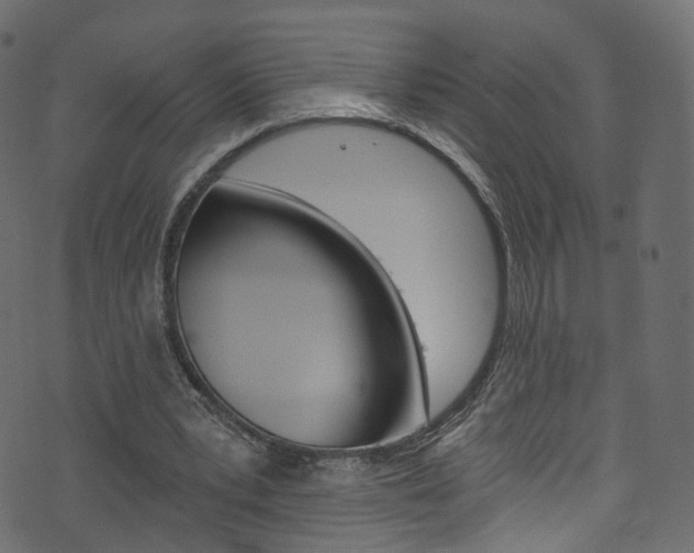 X0000074340391200608251051