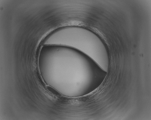 X0000074340392200608251051