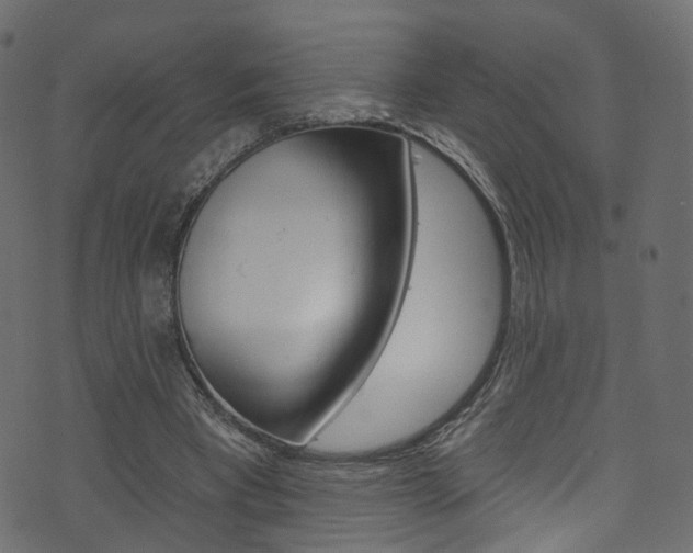 X0000074340393200608251051