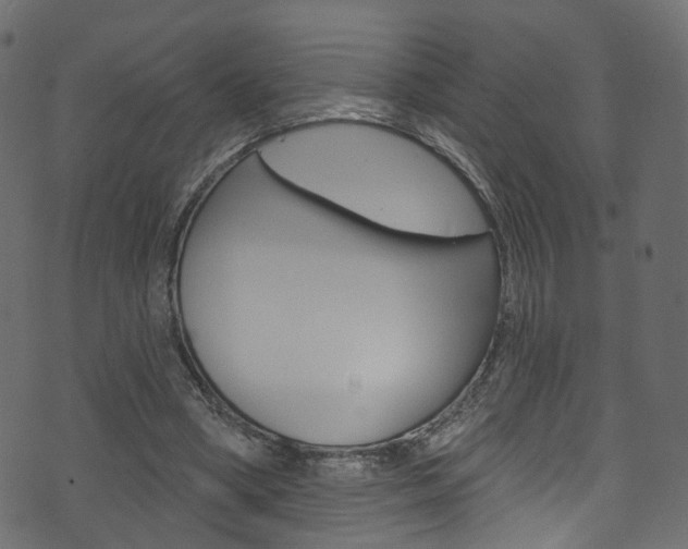 X0000074340394200608251051