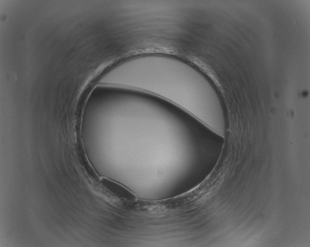 X0000074340395200608251051