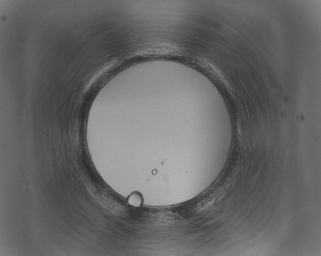 X0000074340396200608251051