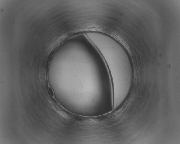 X0000074340397200608251050