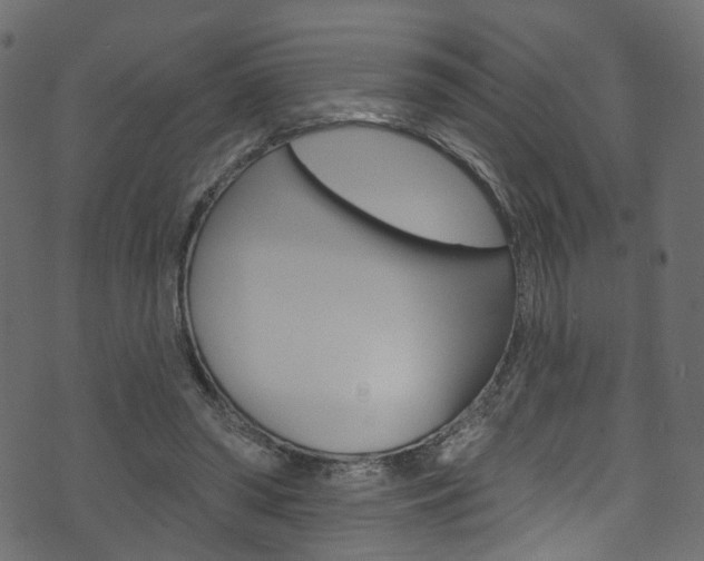 X0000074340398200608251050