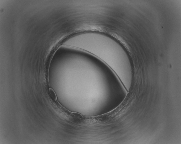 X0000074340399200608251050