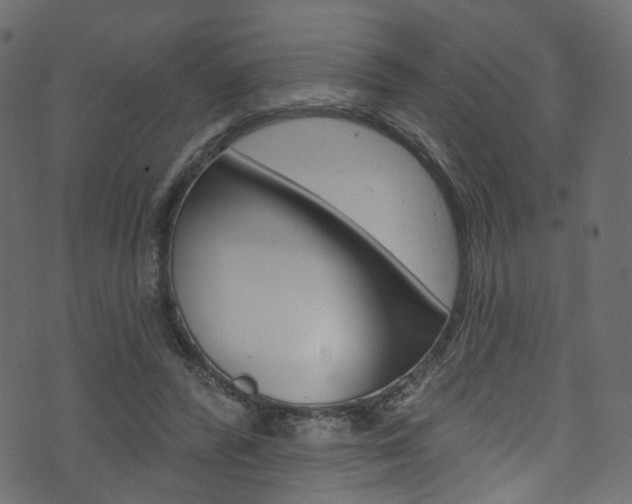 X0000074340400200608251050