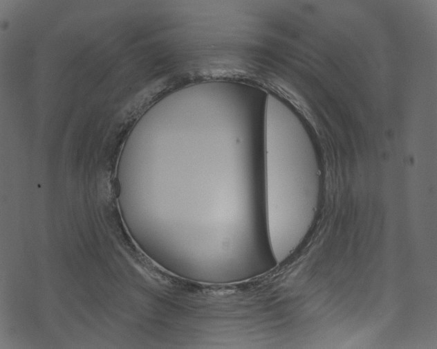 X0000074340401200608251050