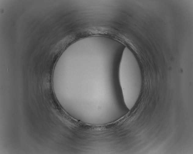 X0000074340402200608251050