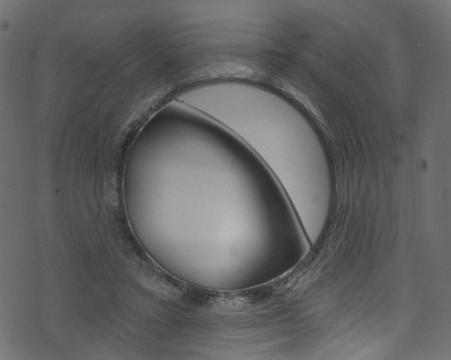 X0000074340403200608251050