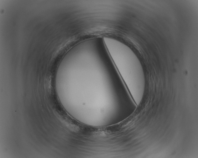 X0000074340404200608251050