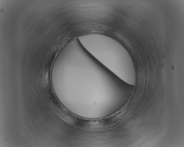 X0000074340406200608251050