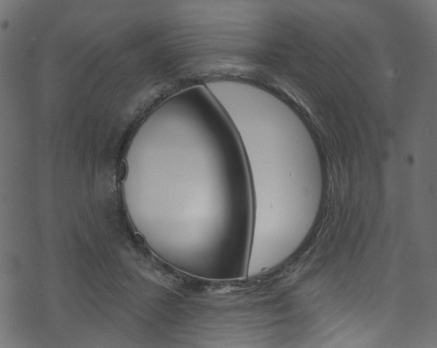 X0000074340407200608251050