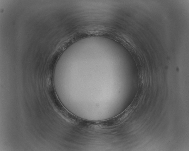 X0000074340408200608251050