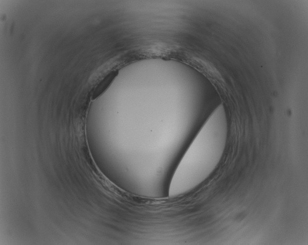 X0000074340409200608251050