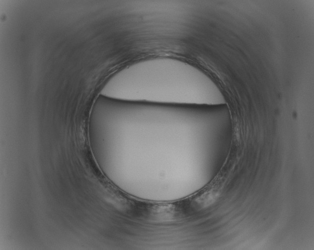 X0000074340410200608251050