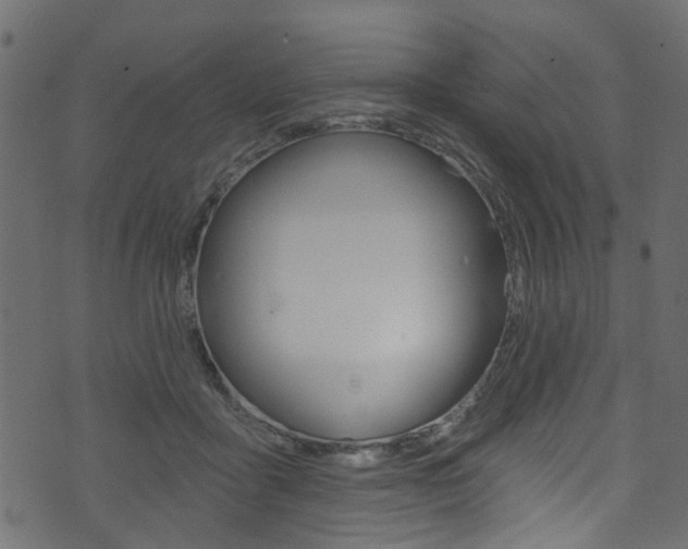 X0000074340411200608251050