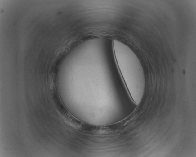 X0000074340412200608251050