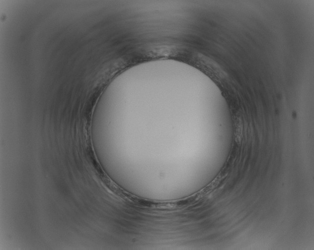 X0000074340414200608251050